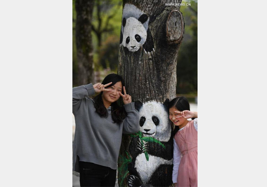 Fantastic 'tree paintings' seen in Anhui province