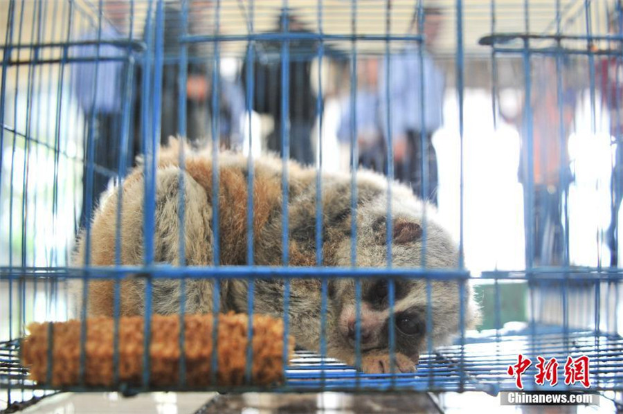 Police crack down on illegal online animal trade