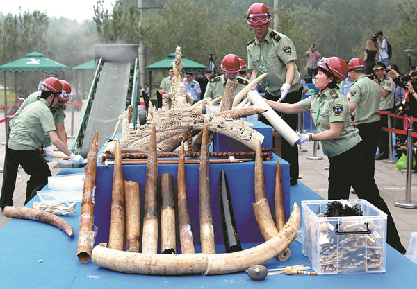 Ivory carvers want craft preserved