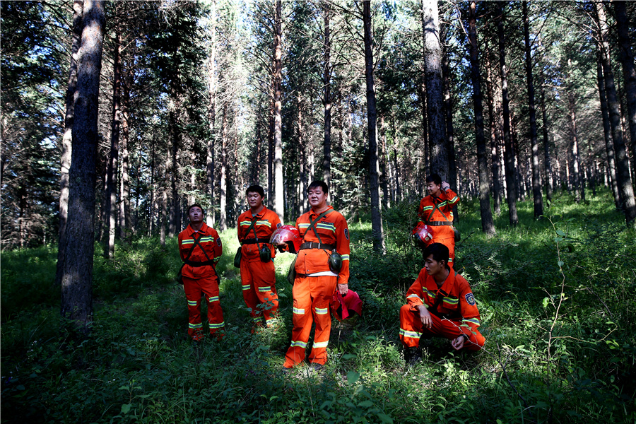 How a desert branched out to become Beijing's guardian