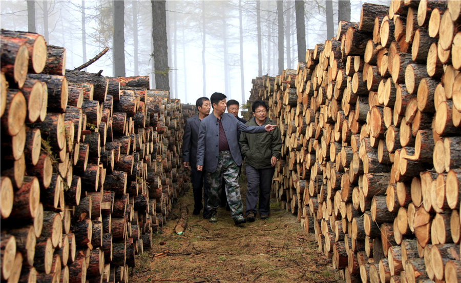 How a desert branched out to become Beijing's guardian