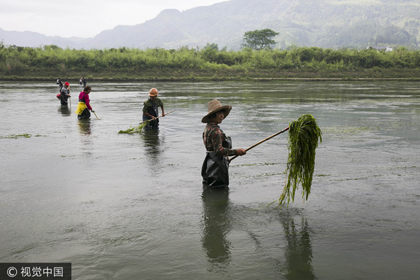 Price of clean water 'a good deal'