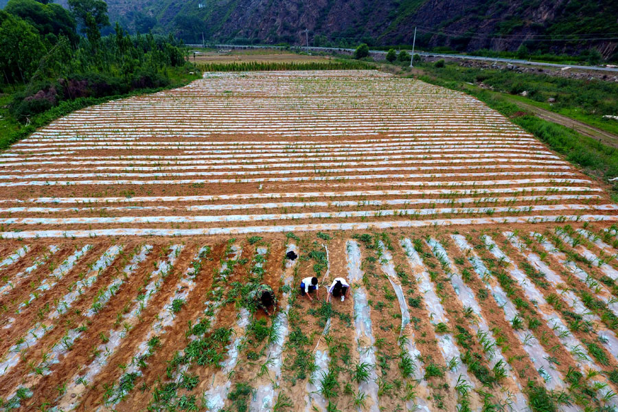 Rural CPC member's contribution is family tradition