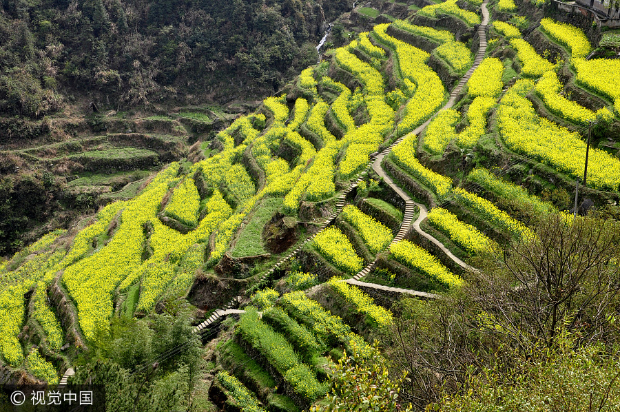 China's national parks: Natural, scenic and wild