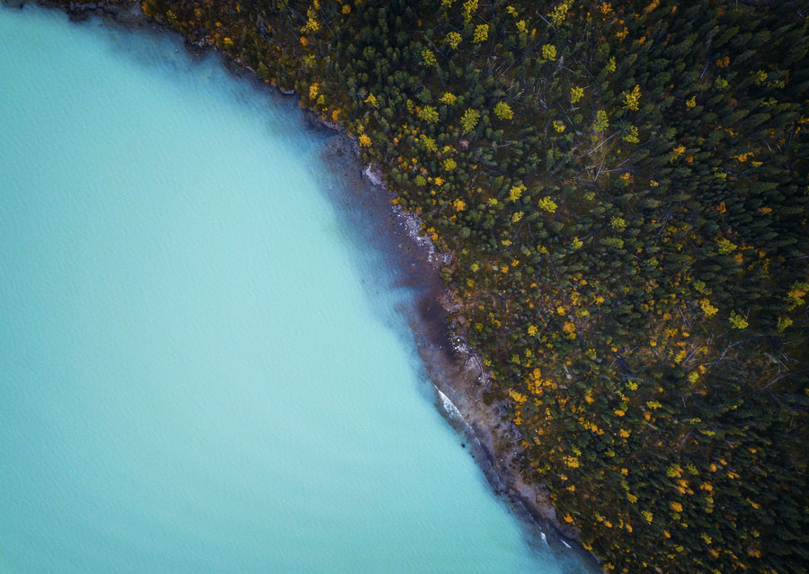 Bathed in blue and gold: Stunning autumn scenes in Xinjiang