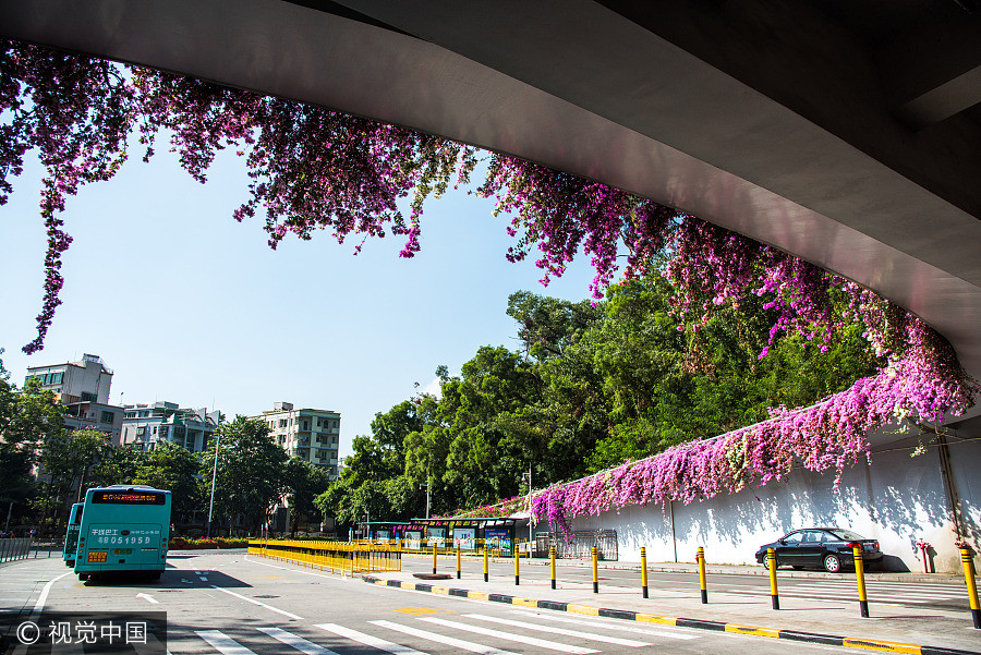 Azalea turns parking building into fairy world