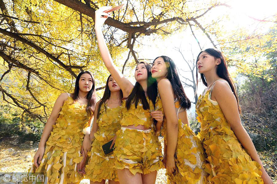 College students wear golden clothes made of gingko leaves