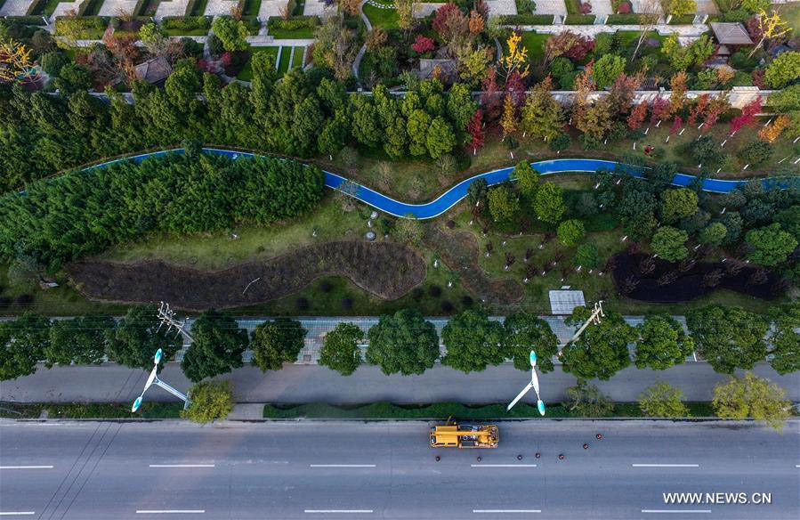 Blue roads offer people eco-friendly travel choice in E China