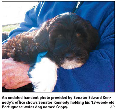 Obama girls name their new puppy 'Bo'