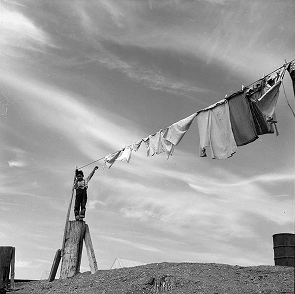 Exhibition captures everyday lives of Chinese-Americans in 1950-60s