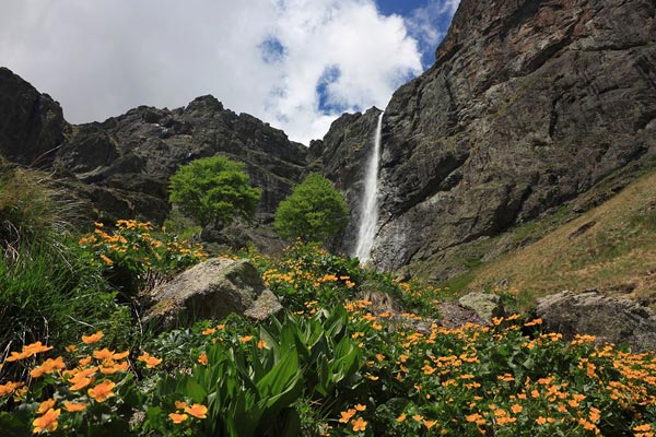 Chinese 'Survivors' get taste of Bulgarian mountain village