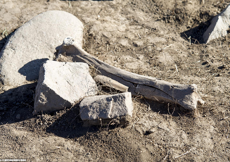 2000-year-old tomb complex being excavated in Xinjiang