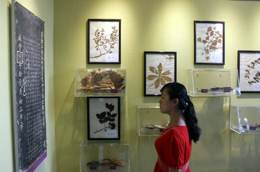 Suzhou Museum of Traditional Chinese Medicine reopens