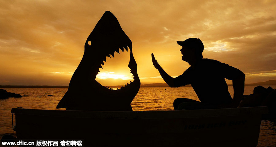 Captivating background captures man and his cardboard friends