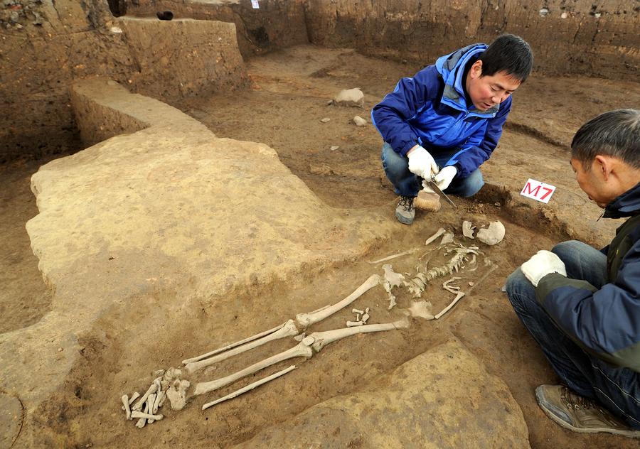 Traces of human activities dating back a million years found in Shaanxi