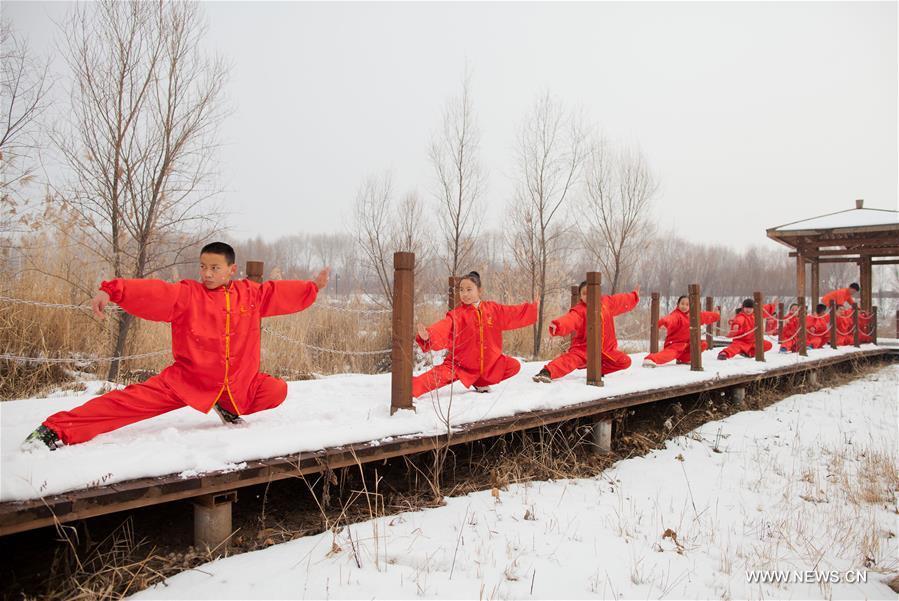 People practice tai chi in N China's Inner Mongolia