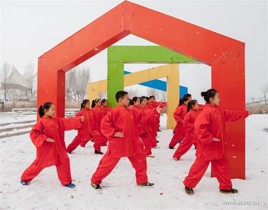 People practice tai chi in N China's Inner Mongolia