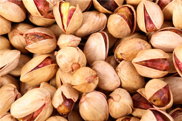 US pistachio growers tour 4 Chinese cities