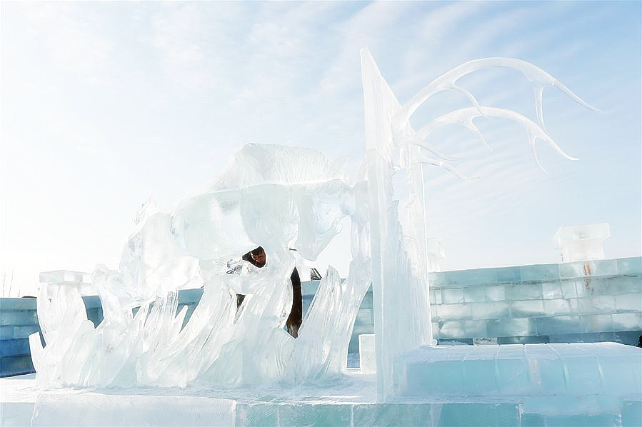 Mongolian <EM>Mother</EM> scoops ice sculpture award in Harbin