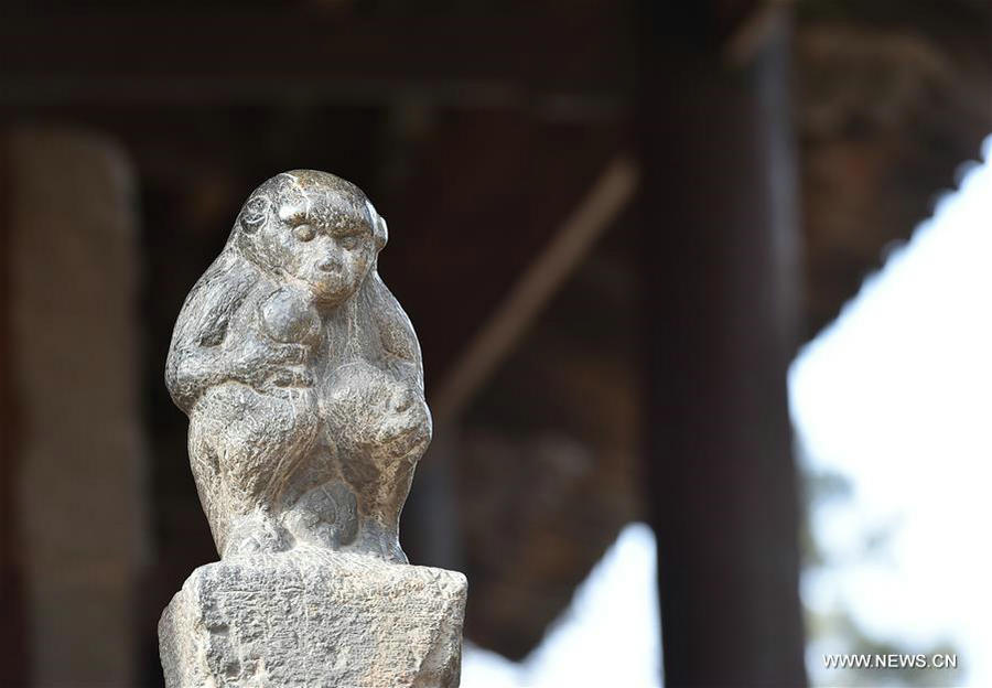 Stone monkey carvings attract crowds