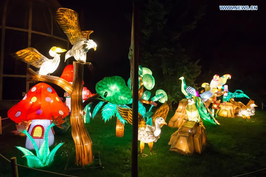 Budapest zoo hosts Chinese lantern festival