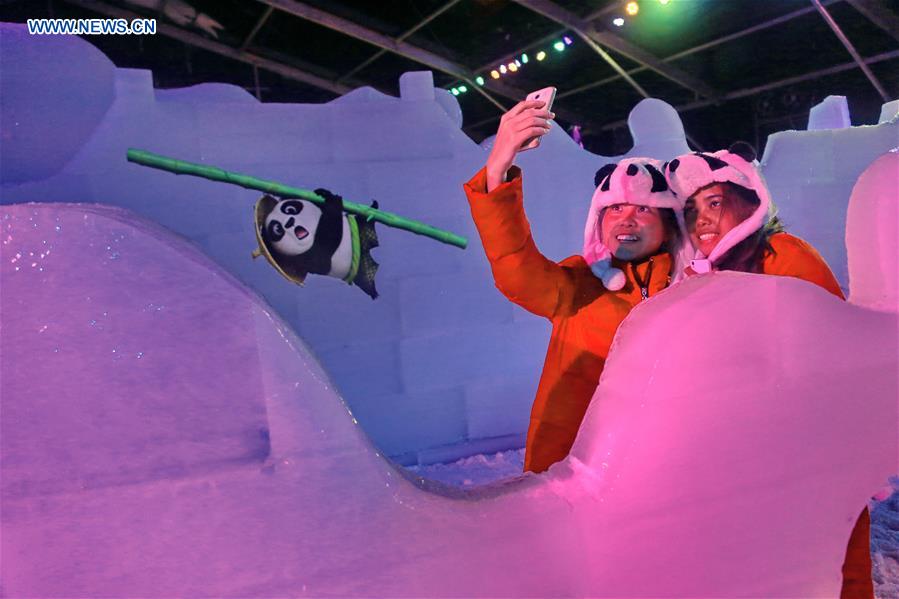 Exhibition of ice sculptures held in N China