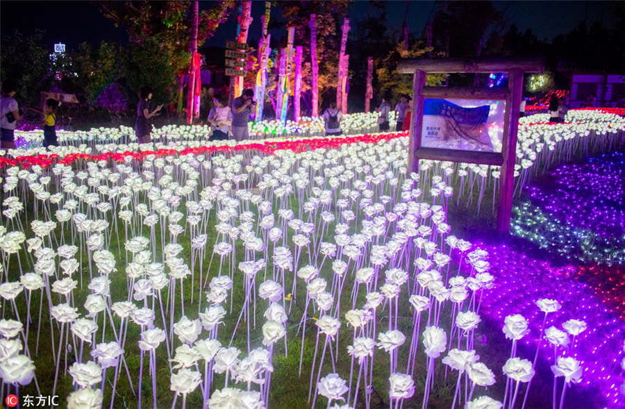 Dreamlike Light Festival illuminates Yanbian