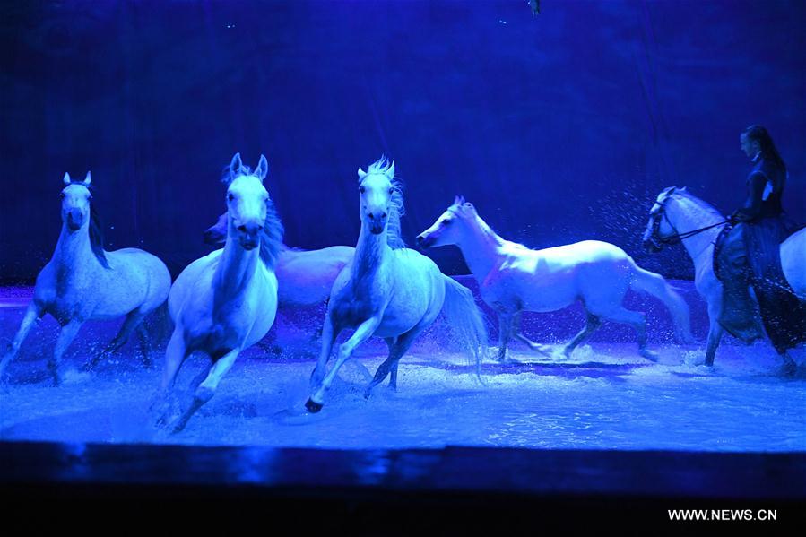 Cavalia show held in Chaoyang Park in Beijing