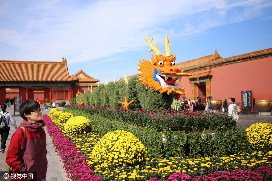 Chrysanthemums from Kaifeng bloom in the Forbidden City