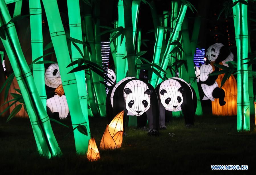 Foreigners experience Chinese culture during lantern festival in Hamburg