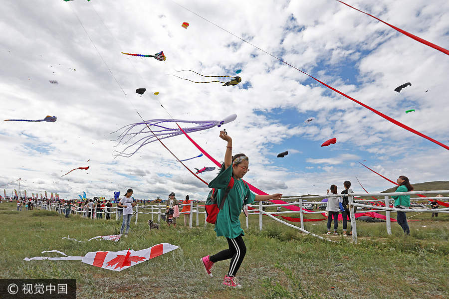 Int'l kite festival kicks off in Hebei