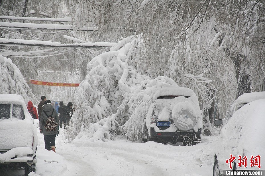 黑龍江鶴崗遭遇50年一遇暴雪(圖)