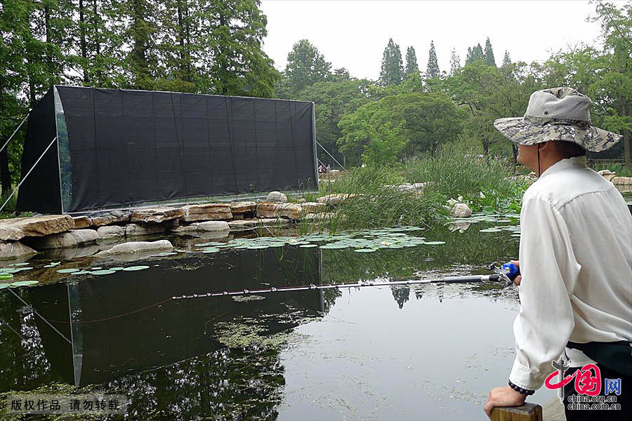 青島：公園引進螢火蟲大量死亡 “扎根”很難做到[組圖]