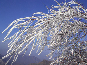 京城雪紛飛 細數十處最具京味賞雪地