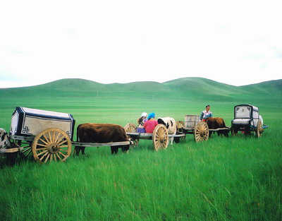 Mongolian Ox Cart