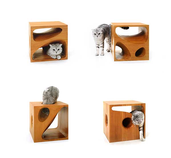 Feline flavor in architect’s furniture designs