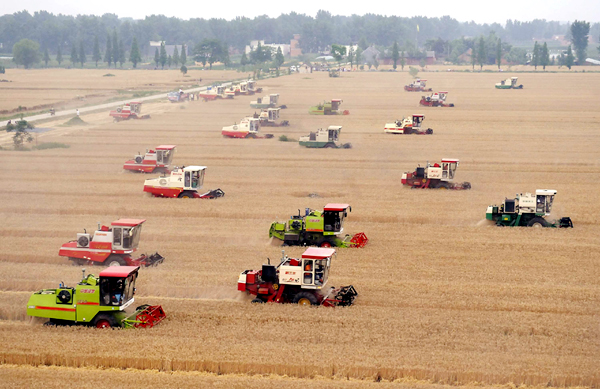 Grain output to exceed 12 bln kg in Shanxi