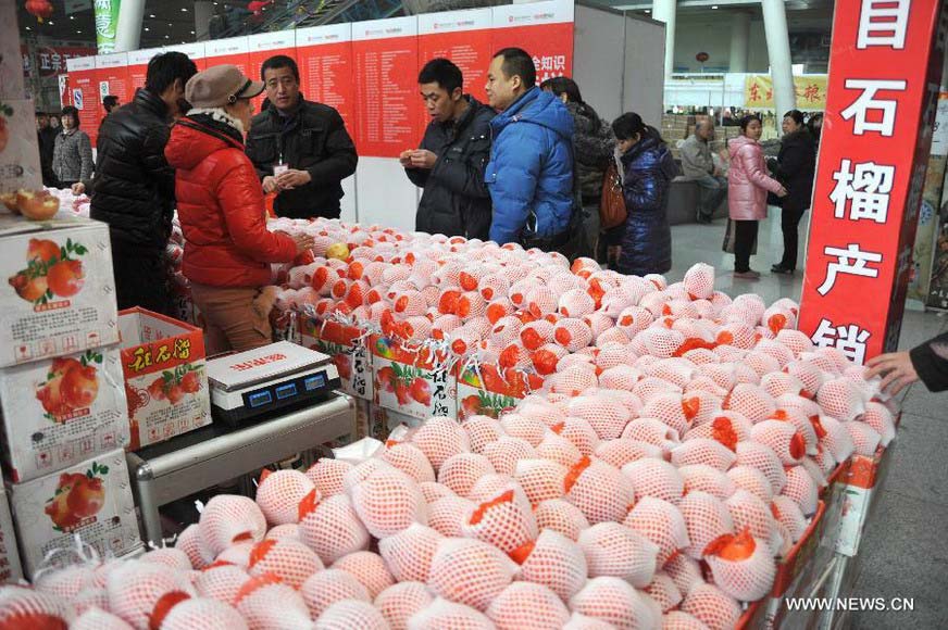 Chinese people prepare for Spring Festival