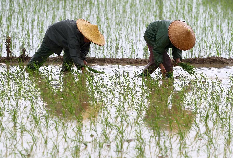 Farmers busy with planting crops in SW China