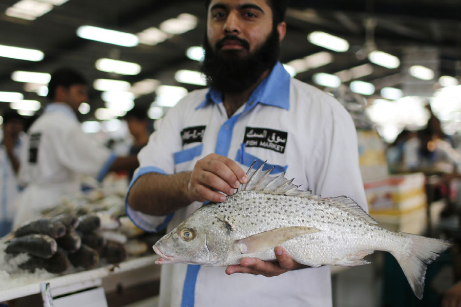 Fish market in Dubai