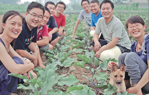 Thumb-sized watermelons sold in Shanghai