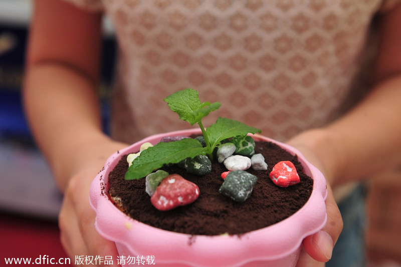 Flower pot ice cream