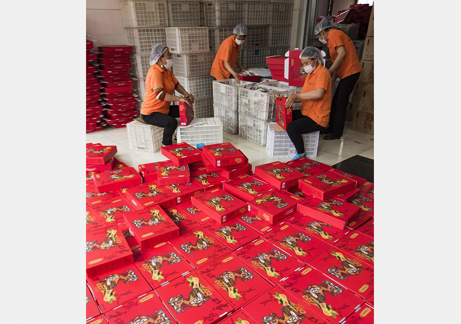 Workers in Central China make zongzi before Dragon Boat Festival