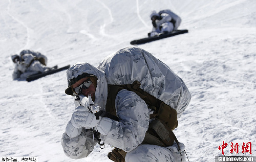 韓美海軍陸戰隊舉行雪地軍演