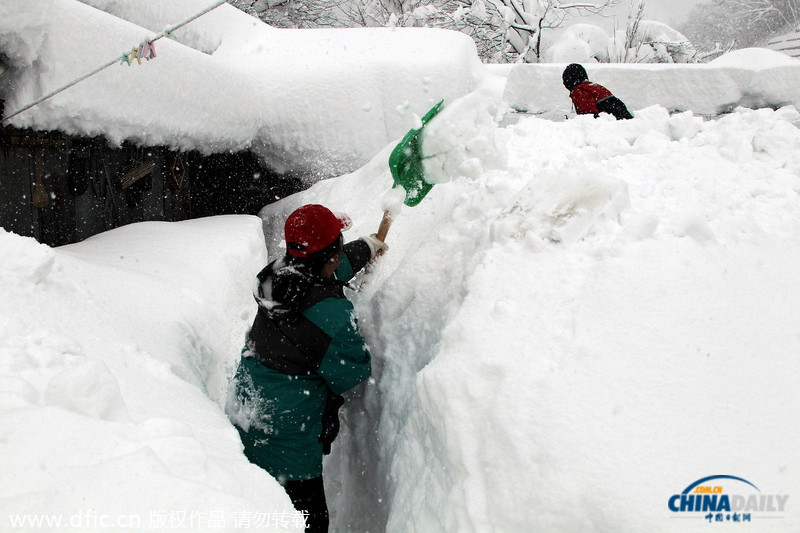 韓國暴雪持續5日 汽車被埋紅綠燈遭積雪覆蓋