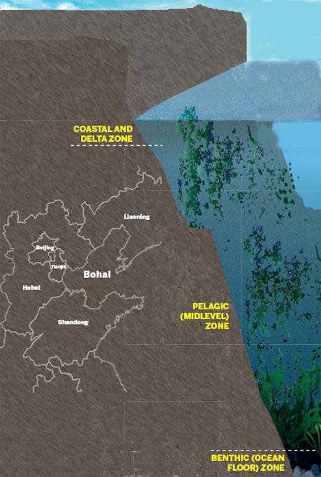 Bohai natural ecosystem