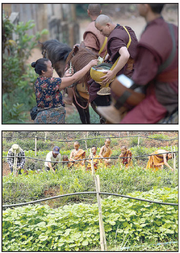 Thai temple fights addiction with horses and boxing