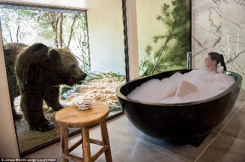 旅館？動物園？這是澳大利亞加馬拉野生動物旅館！