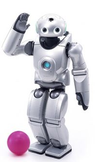 仿人機(jī)器人 humanoid robot