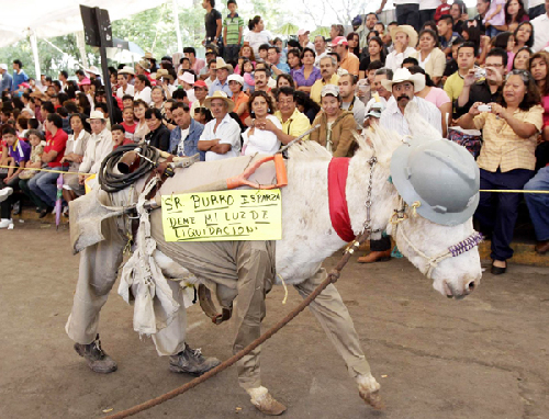 Donkey festival celebrated in Mexico